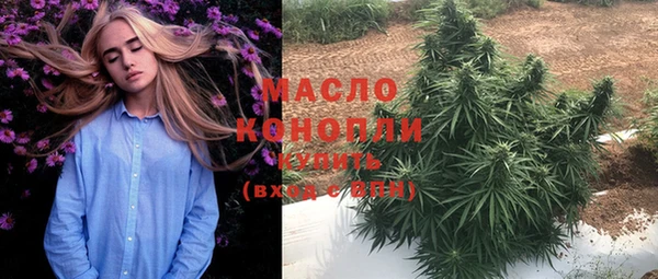 дмт Надым