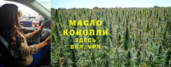 дмт Надым