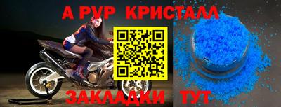 амф Гусев