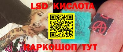 амф Гусев
