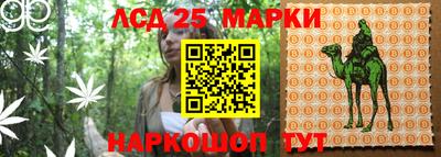 амф Гусев