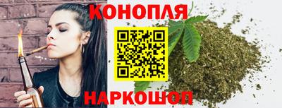 амф Гусев