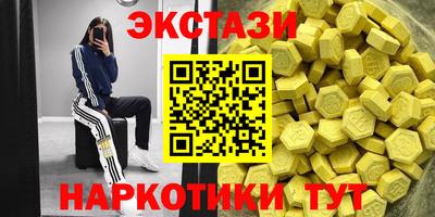 амф Гусев