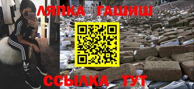 амф Гусев