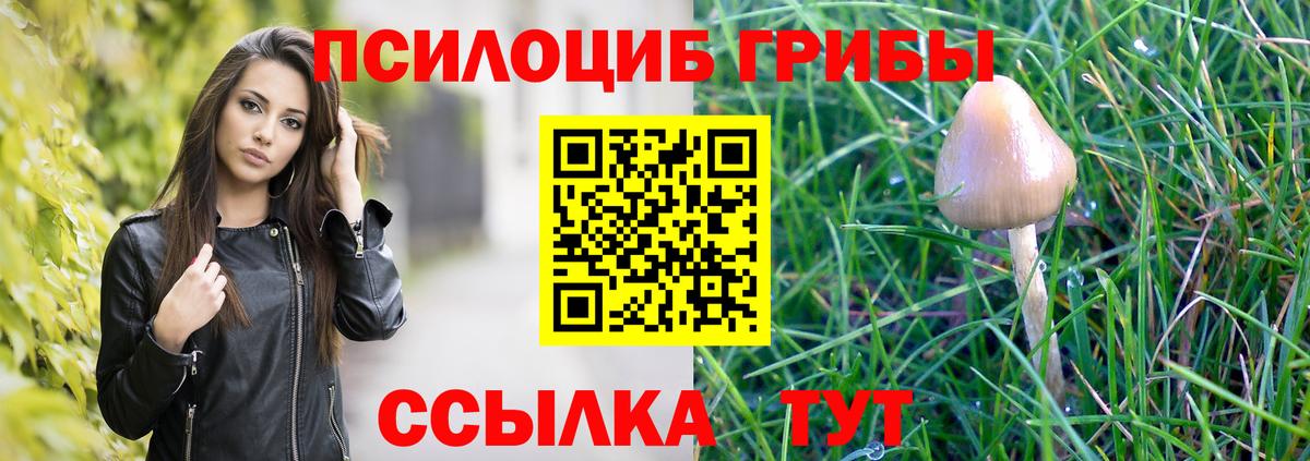 Псилоцибиновые грибы Psilocybine cubensis  Псилоцибиновые грибы прущие грибы  Кизляр  Вход с VPN 