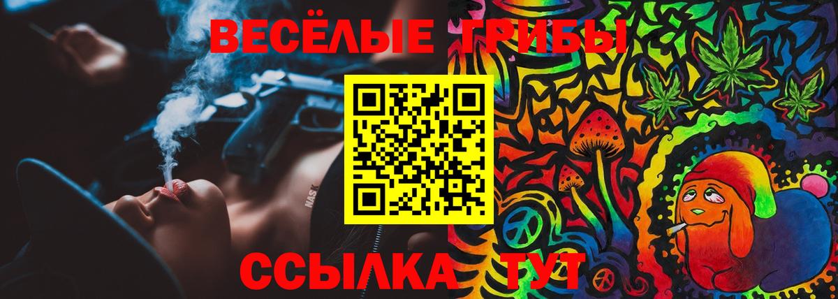 закладка  Кизляр  Псилоцибиновые грибы GOLDEN TEACHER 