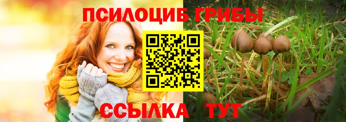 Псилоцибиновые грибы прущие грибы Кизляр
