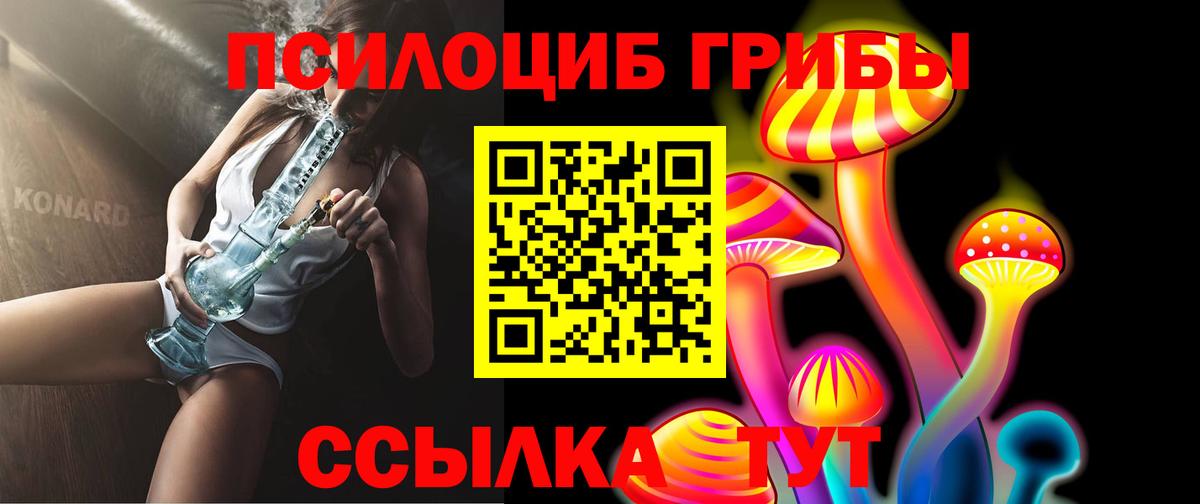 Галлюциногенные грибы Cubensis Кизляр